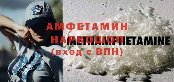СК Ельня