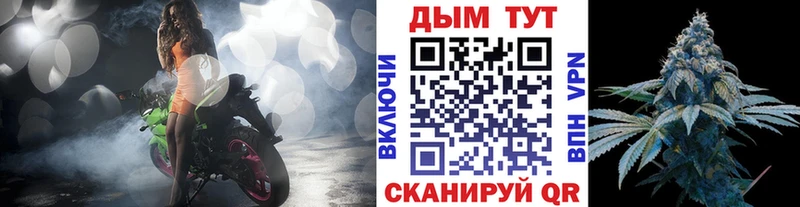 Бошки Шишки планчик  где купить наркоту  Павловск 